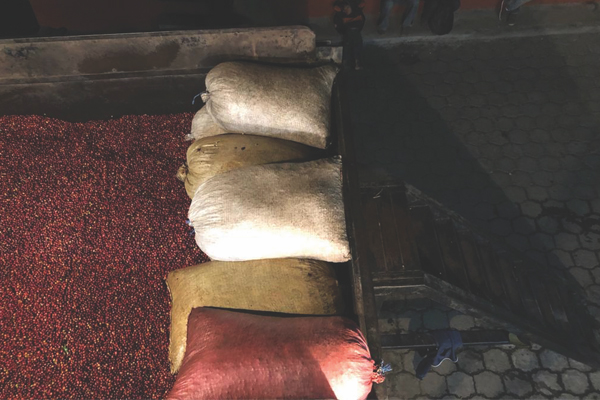 Blockchain explained and what it means for coffee Blockchain explained and what it means for coffee